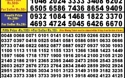 Punjab state dear10 diamond tuesday weekly lottery 6pm result 21/5/24