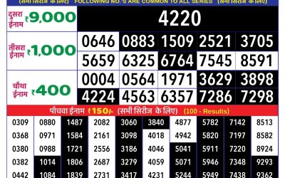 Rajshree daily lottery 8pm result 20/5/24