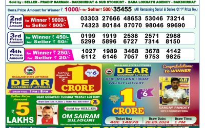 Dear lottery 1pm result 6.12.24