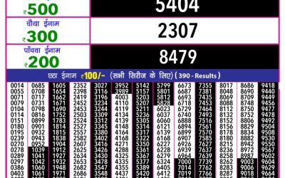 Rajshree 10 evening lottery 5.40pm result 11.2.25