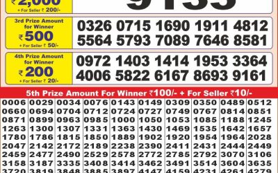Punjab state dear10 lottery result 22.2.25