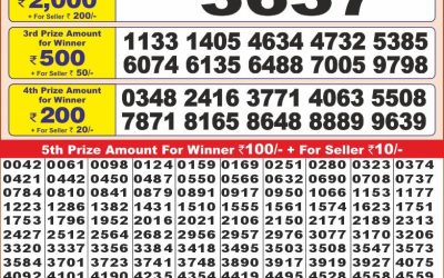 Punjab state dear10 lottery result 23.2.25