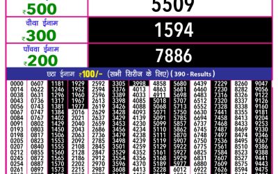 Rajshree 10 evening lottery 5.40pm result 24.2.25