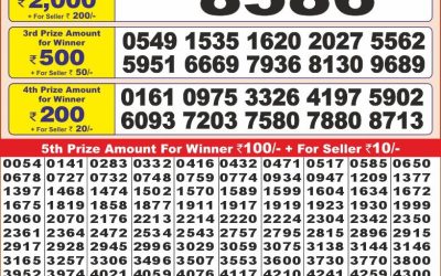 Punjab state dear10 lottery 6pm result 26.2.25