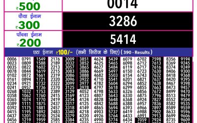 Rajshree 10 evening lottery 5.40pm result 3.2.25