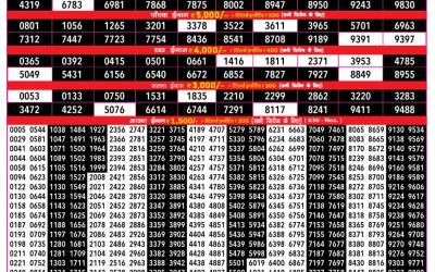 Rajshree 500 monthly lottery Result 11.3.2025