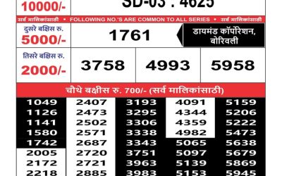 Maharashtra sahyadri lottery result 13.3.25