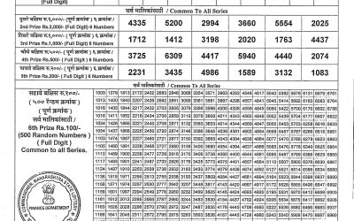 Maharashtra Vaibhavlaxmi lottery result 14.3.25