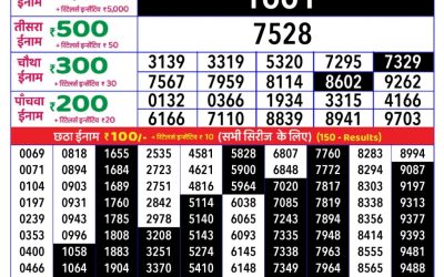 Rajshree daily lottery 1pm result 28.3.25