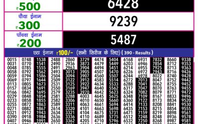 Rajshree 10 evening lottery 5.40pm result 30.3.25