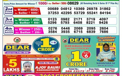 Dear lottery 1pm result 29.3.25