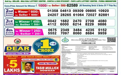 Dear lottery 1pm result 31.3.25