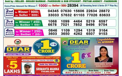 Dear lottery 1pm result 3.4.25