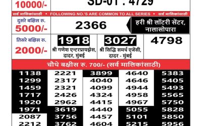 Maharashtra sahyadri lottery result 3.4.25
