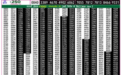 Rajshree 50 daily lottery 7.30pm result 30.4.25