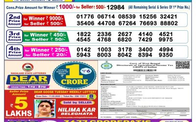 Dear lottery 6pm result 1.4.25