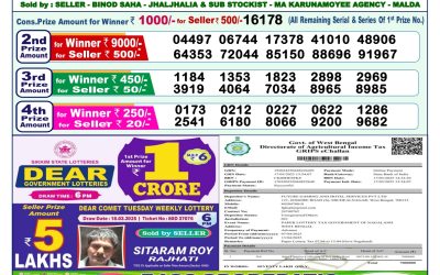 Dear lottery 1pm result 7.4.25