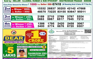 Dear lottery 1pm result 1.4.25