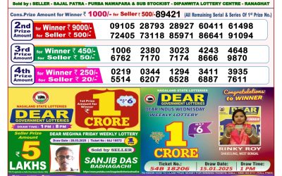 Dear lottery 8pm result 16.4.25