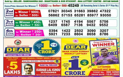 Dear lottery 1pm result 17.4.25