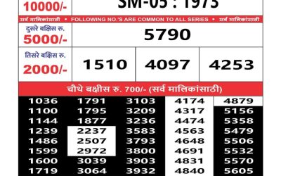 Maharashtra sahyadri lottery result 6.5.25