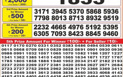 Punjab state dear10 lottery 6pm result 8.5.25