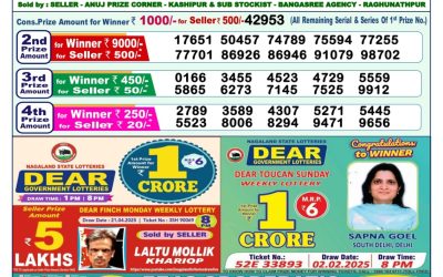 Dear lottery 1pm result 10.5.25