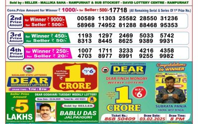 Dear lottery 8pm result 10.5.25