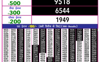 Rajshree 10 evening lottery 5.40pm result 11.5.25