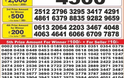Punjab state dear 10 lottery 6pm result 12.5.25