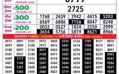 Rajshree daily lottery 1pm result 17.5.25