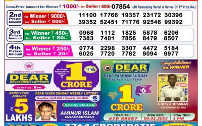 Dear lottery 8pm result 17.5.25