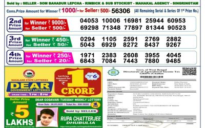 Dear lottery 6pm result 19.5.25