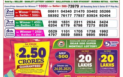 Dear lottery 8pm result 19.5.25