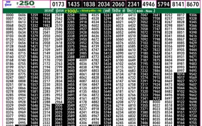 Rajshree 50 daily lottery 7.30pm result 21.05.25