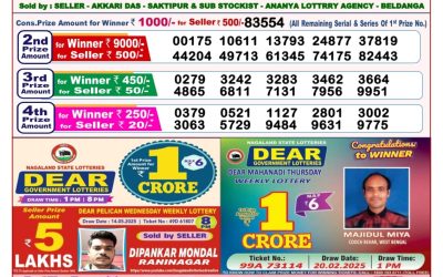 Dear lottery 8pm result 28.05.25