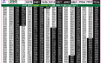 Rajshree 50 daily lottery 7.30pm result 28.05.25