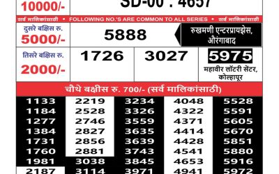 Maharashtra sahyadri lottery result 29.05.25