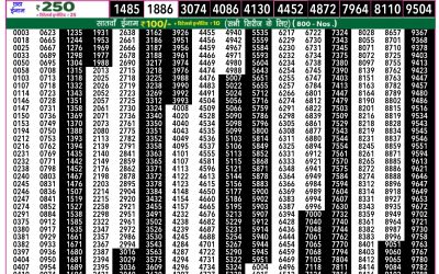 Rajshree 50 daily lottery 7.30pm result 7.5.25