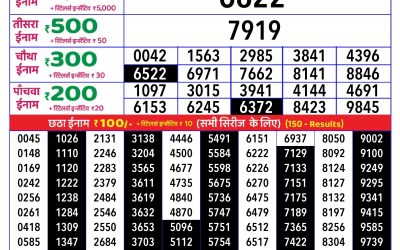 Rajshree daily lottery 1pm result 11.5.25