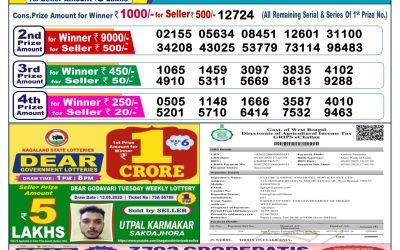 Dear lottery 6pm result 26.05.25