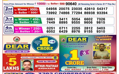 Dear lottery 8pm result 27.05.25