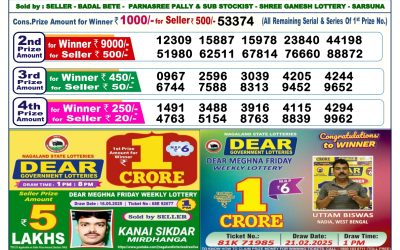Dear lottery 6pm result 29.05.25