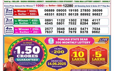 Dear lottery 8pm result 29.05.25