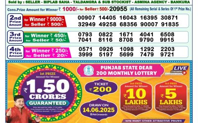 Dear lottery 1pm result 30.05.25