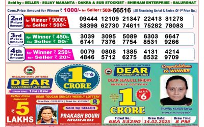 Dear lottery 8pm result 30.05.25