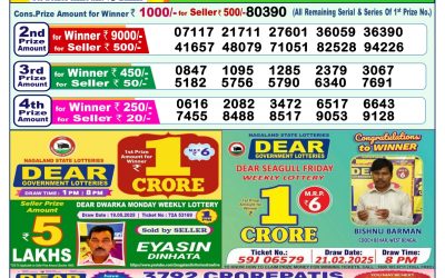 Dear lottery 1pm result 31.05.25