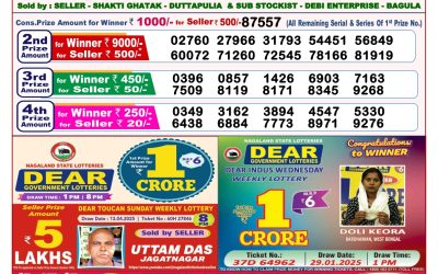 Dear lottery 8pm result 2.5.25