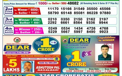 Dear lottery 1pm result 11.5.25