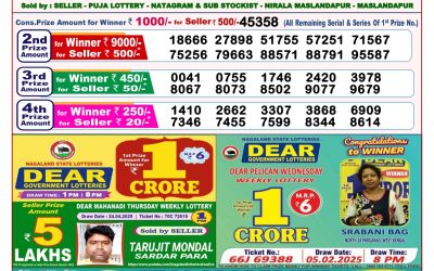 Dear lottery 8pm result 11.5.25